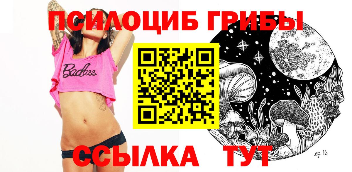Псилоцибиновые грибы MAGIC MUSHROOMS  Вход с VPN  Клинцы 