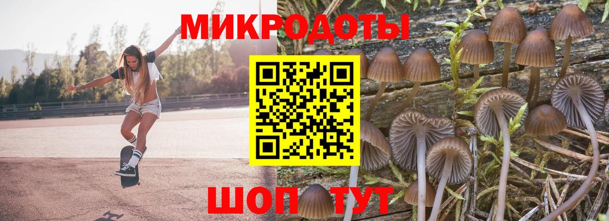 Псилоцибиновые грибы GOLDEN TEACHER Клинцы